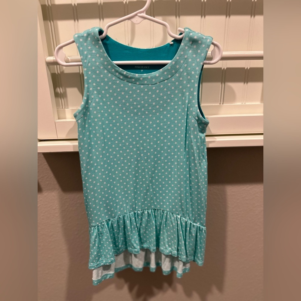 Posh Peanut 2T high-low dress